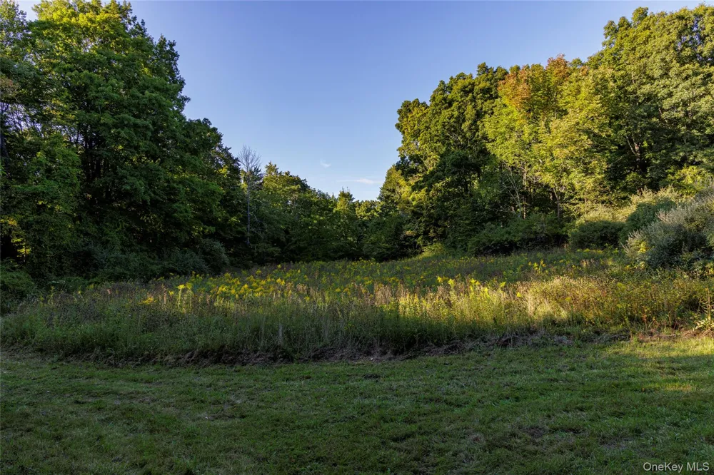 81-85 Fraleigh Hill Road Millbrook, NY 12545