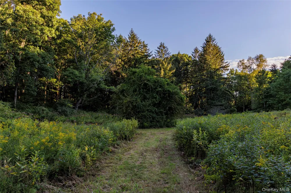 81-85 Fraleigh Hill Road Millbrook, NY 12545