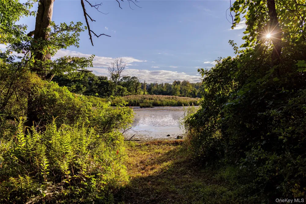 81-85 Fraleigh Hill Road Millbrook, NY 12545