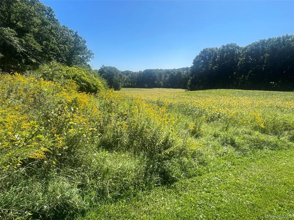 81-85 Fraleigh Hill Road Millbrook, NY 12545