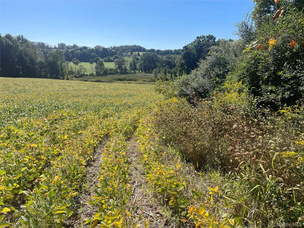 81-85 Fraleigh Hill Road Millbrook, NY 12545