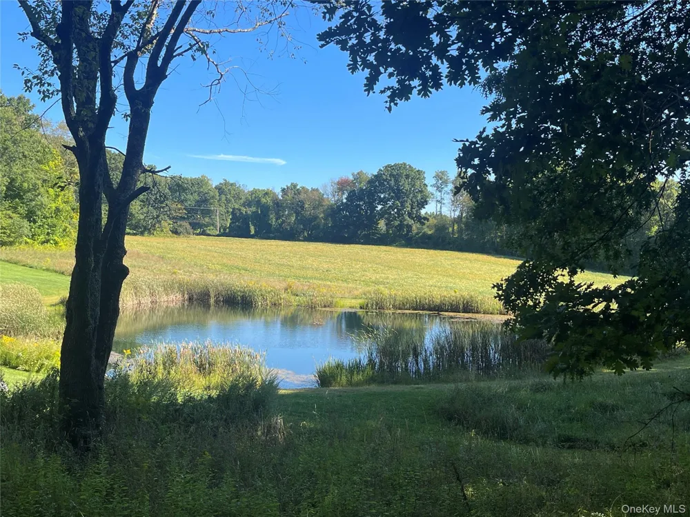 81-85 Fraleigh Hill Road Millbrook, NY 12545
