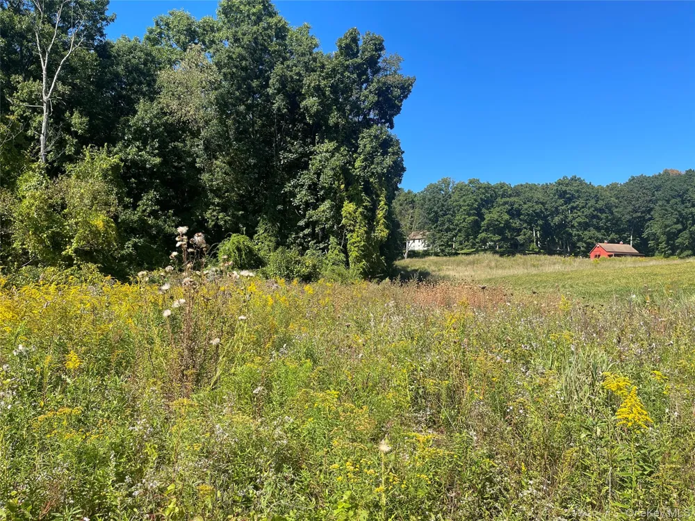 81-85 Fraleigh Hill Road Millbrook, NY 12545