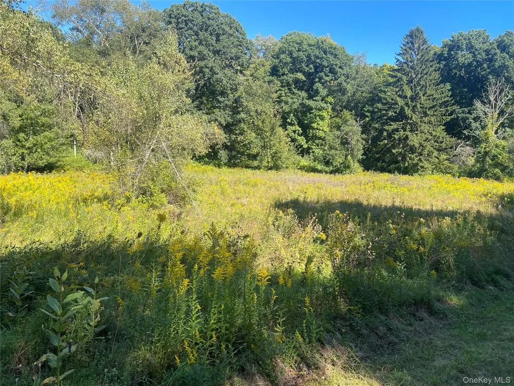 81-85 Fraleigh Hill Road Millbrook, NY 12545
