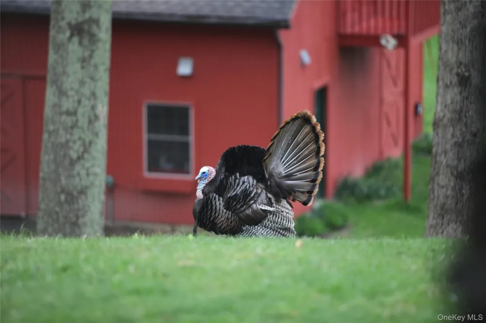 81-85 Fraleigh Hill Road Millbrook, NY 12545