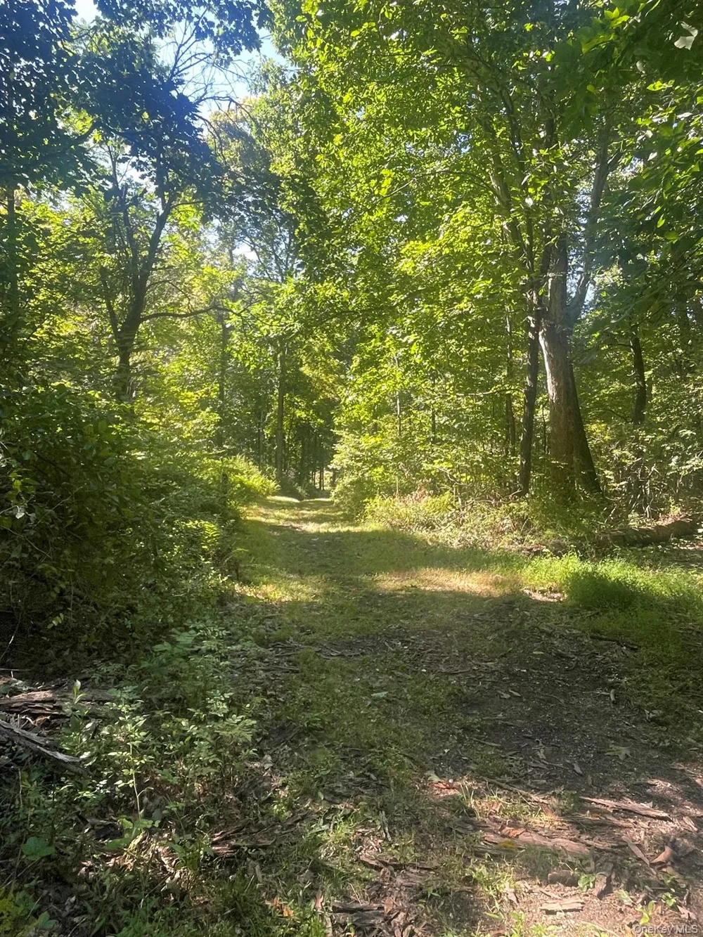 81-85 Fraleigh Hill Road Millbrook, NY 12545