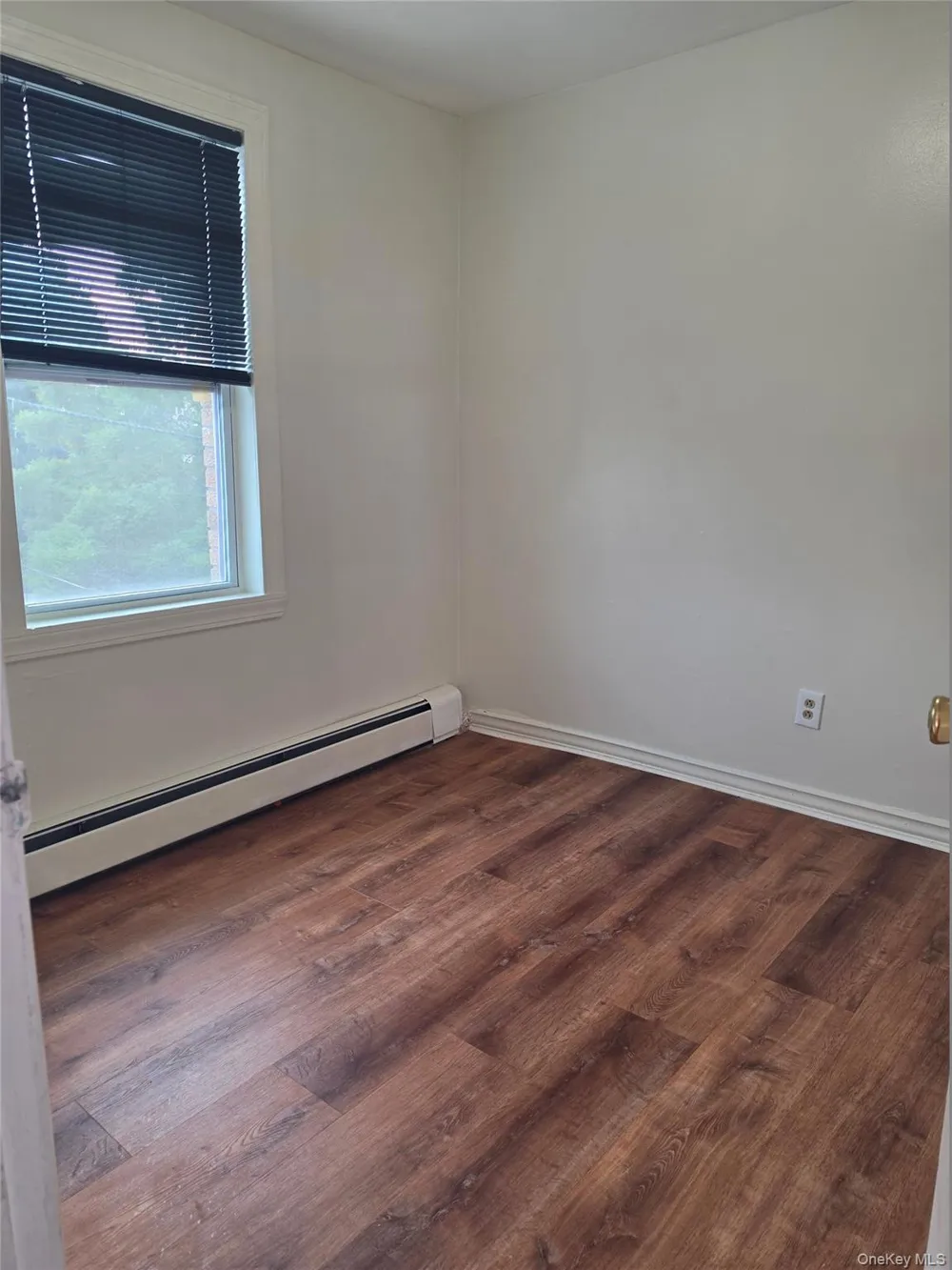 61-25 75th Street #2Fl Middle Village, NY 11379