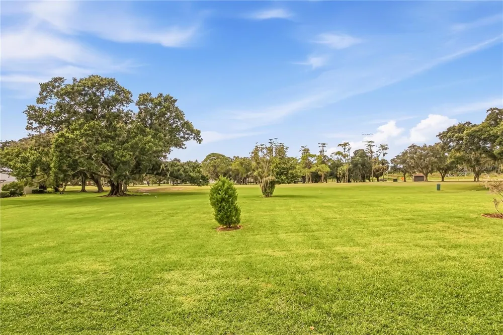 260 MICHAELS CIRCLE Oldsmar, FL 34677