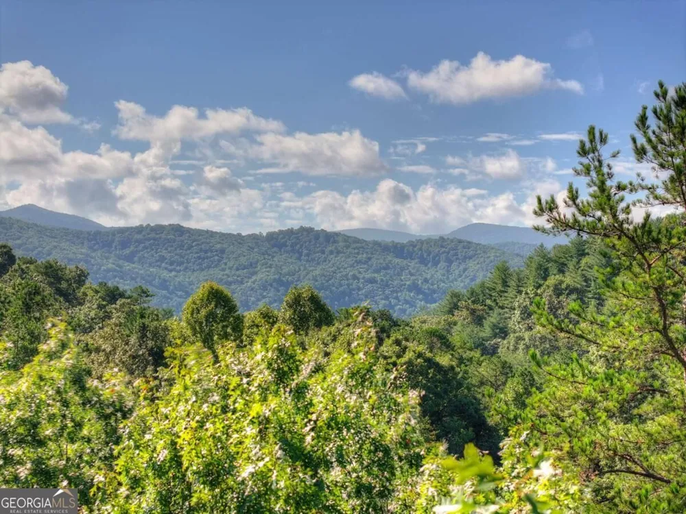 12 N Dream Catcher Blue Ridge, GA 30513