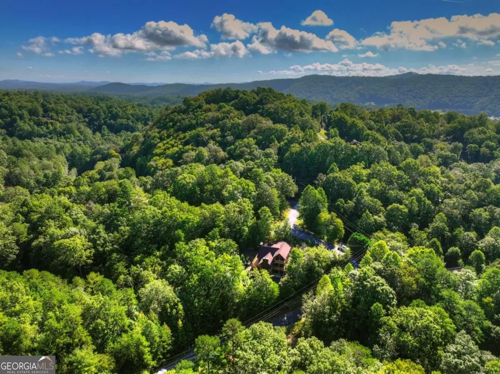 12 N Dream Catcher Blue Ridge, GA 30513