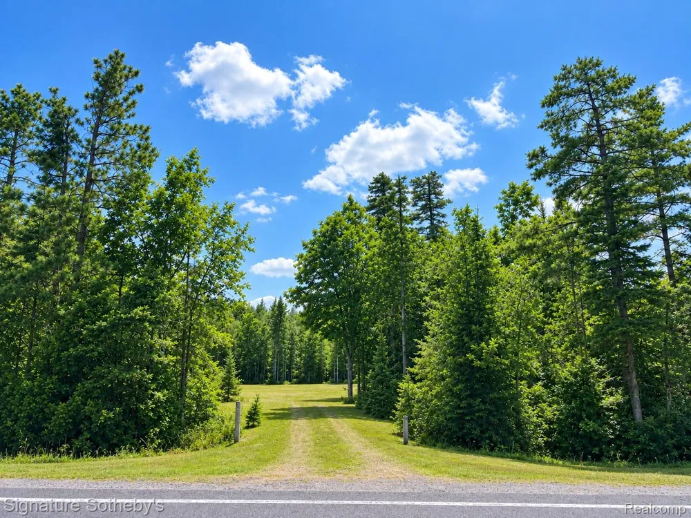 24364 Us-23 Bearinger Township, MI 49759