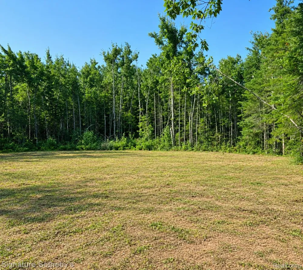 24364 Us-23 Bearinger Township, MI 49759