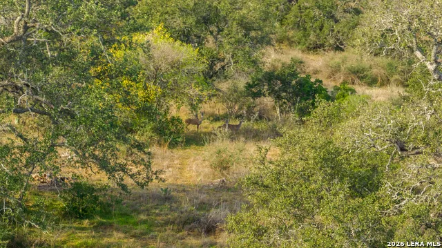000 Highway 16 Llano, TX 78643