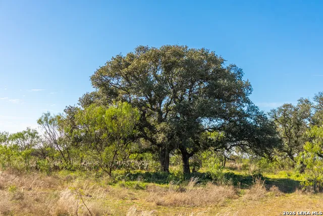 000 Highway 16 Llano, TX 78643
