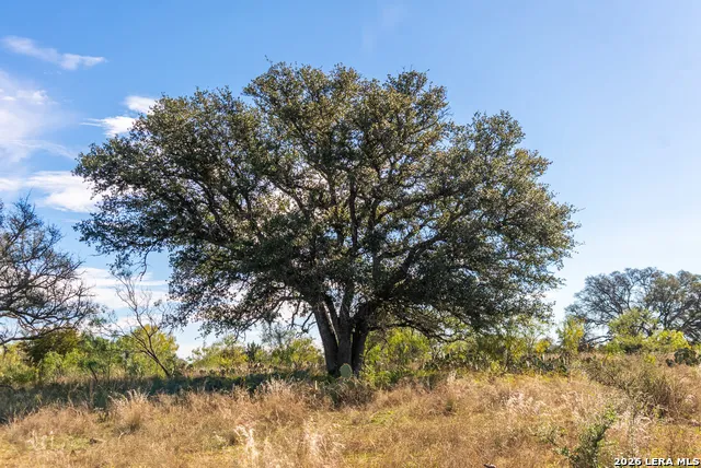 000 Highway 16 Llano, TX 78643