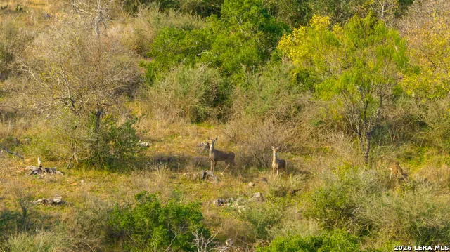 000 Highway 16 Llano, TX 78643