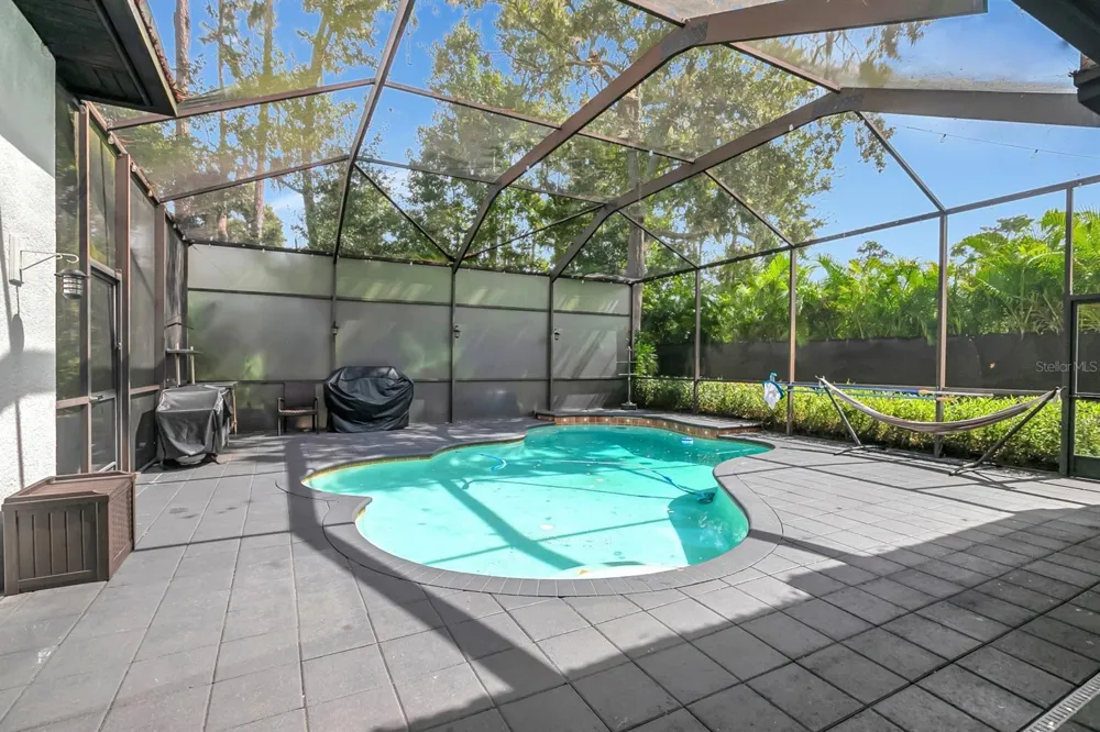 808 RIVER HAMMOCK BOULEVARD Brandon, FL 33511
