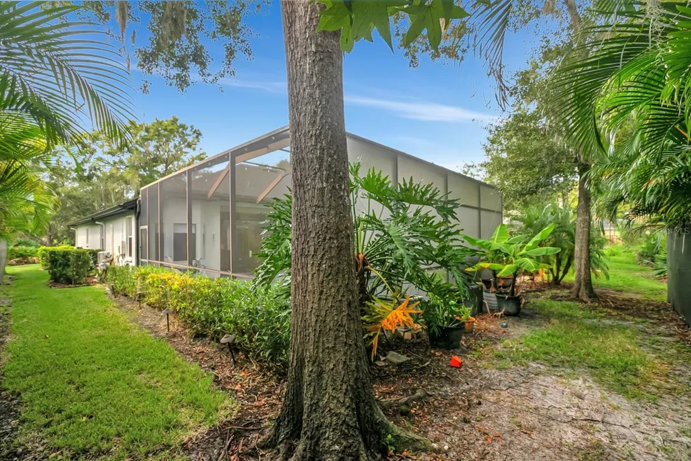808 RIVER HAMMOCK BOULEVARD Brandon, FL 33511
