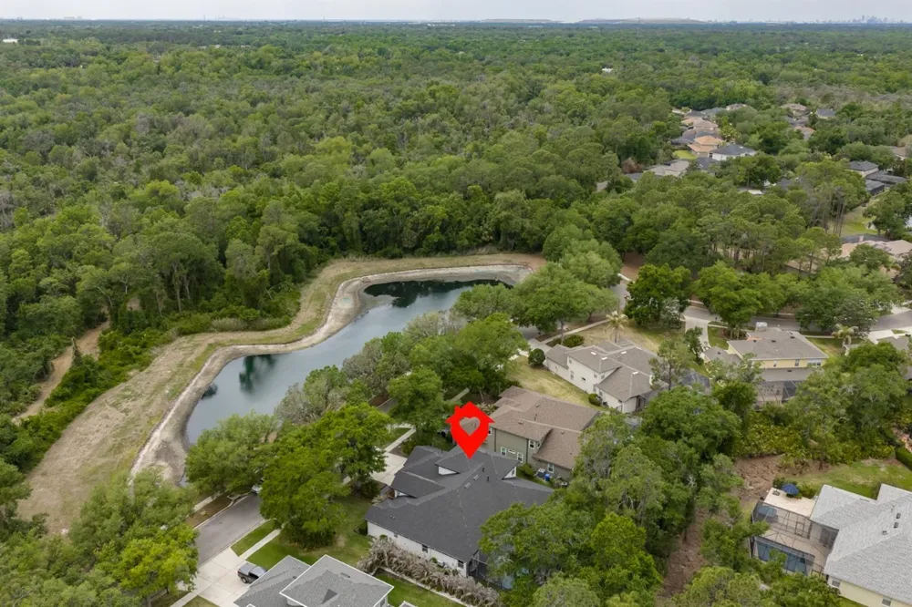 808 RIVER HAMMOCK BOULEVARD Brandon, FL 33511