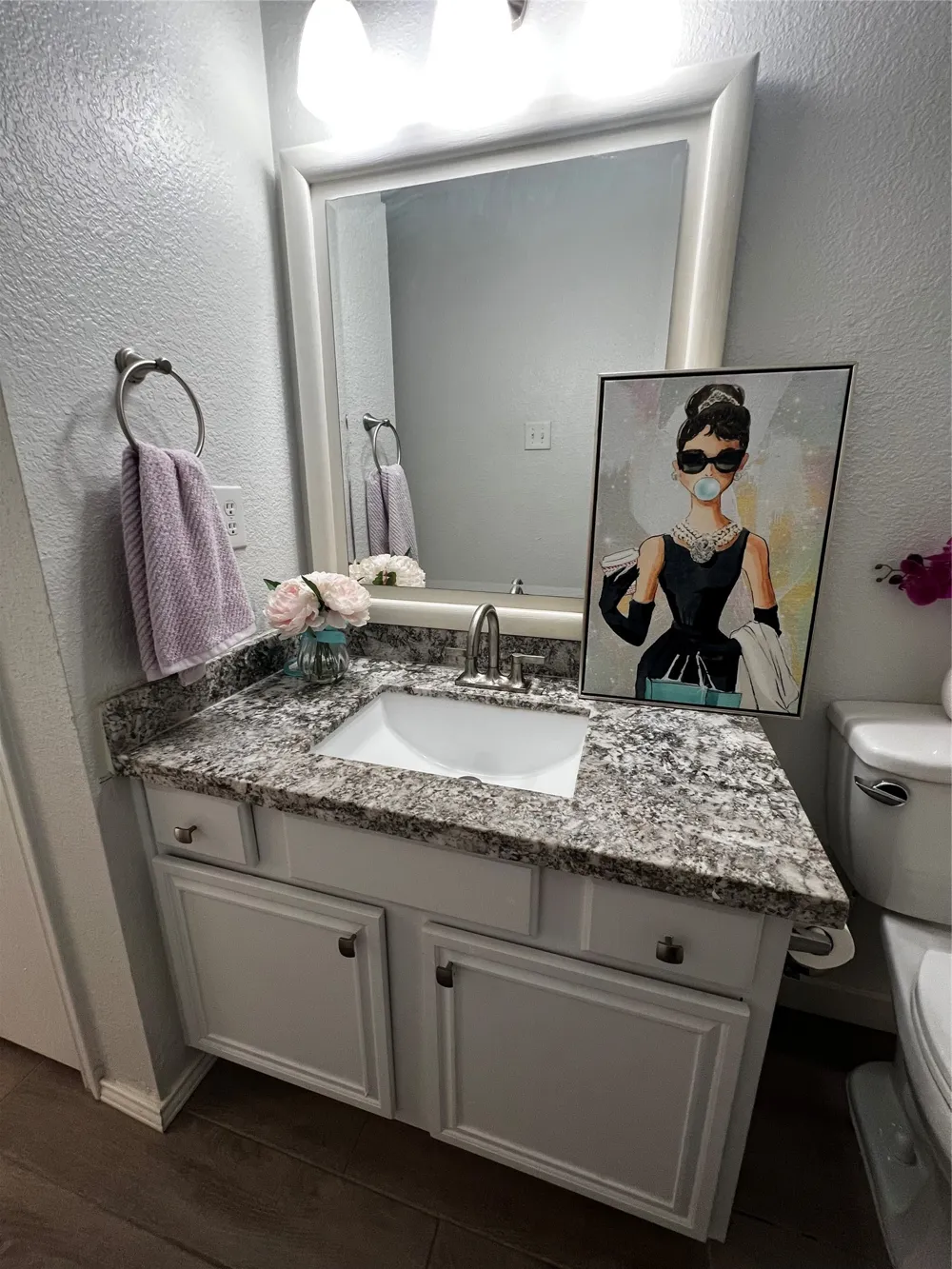1309 Indian Wells Trail Midlothian, TX 76065