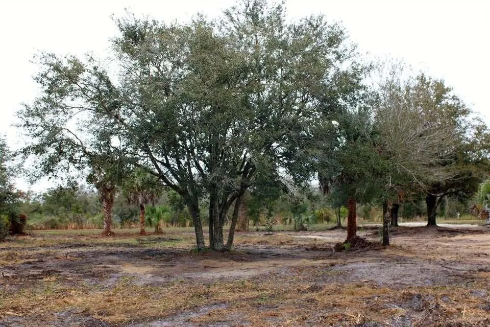 19576 NW 264TH STREET Okeechobee, FL 34972