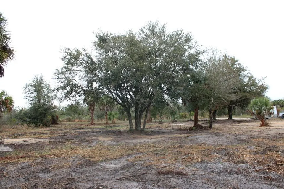 19576 NW 264TH STREET Okeechobee, FL 34972