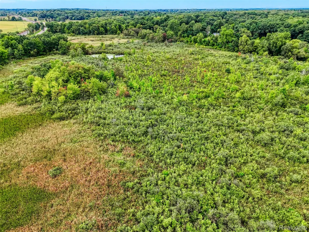 26475 W Michigan Avenue Sheridan Township, MI 49224