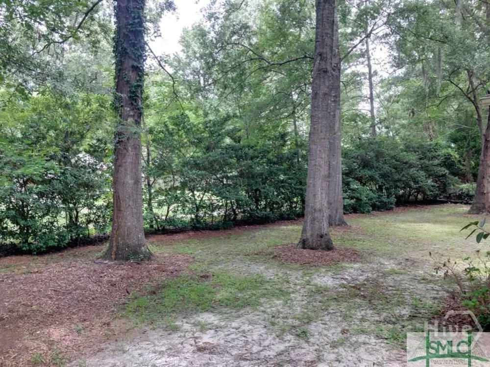 145 Robinson Loop Richmond Hill, GA 31324
