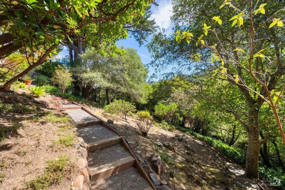 50 Summit Avenue Mill Valley, CA 94941