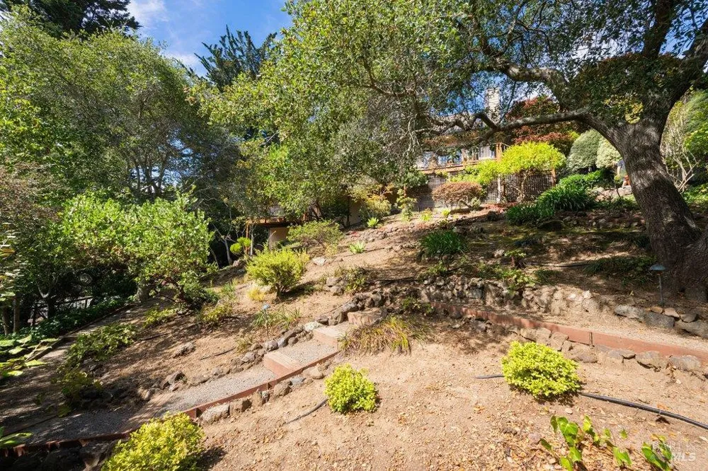 50 Summit Avenue Mill Valley, CA 94941
