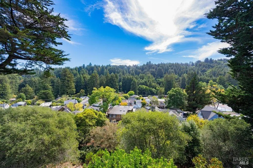 50 Summit Avenue Mill Valley, CA 94941