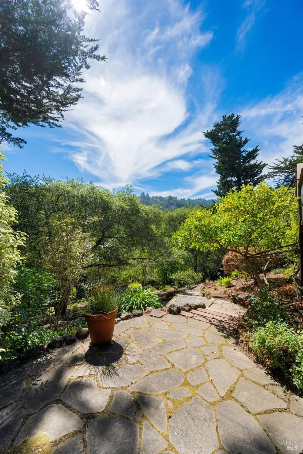 50 Summit Avenue Mill Valley, CA 94941