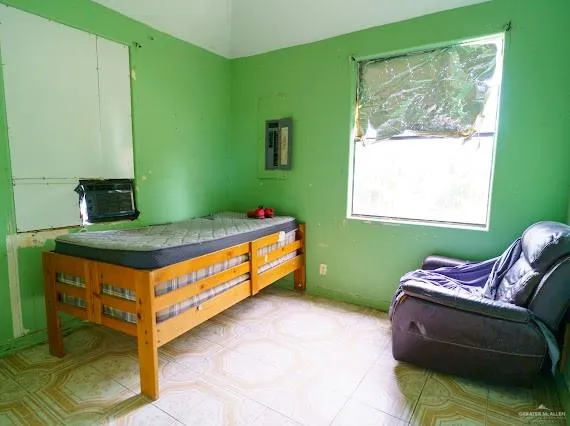 440 Pantera Drive Alamo, TX 78516