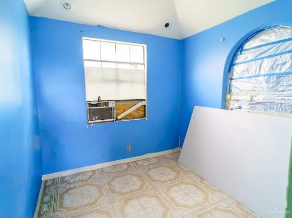 440 Pantera Drive Alamo, TX 78516