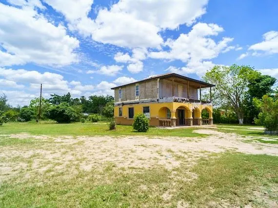 440 Pantera Drive Alamo, TX 78516