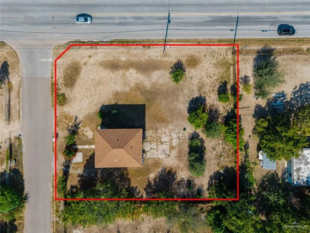 440 Pantera Drive Alamo, TX 78516