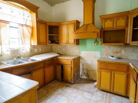 440 Pantera Drive Alamo, TX 78516
