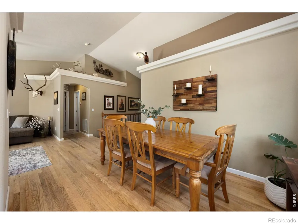 905 Scotch Pine Drive Severance, CO 80550