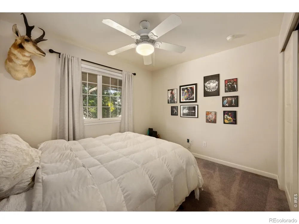 905 Scotch Pine Drive Severance, CO 80550