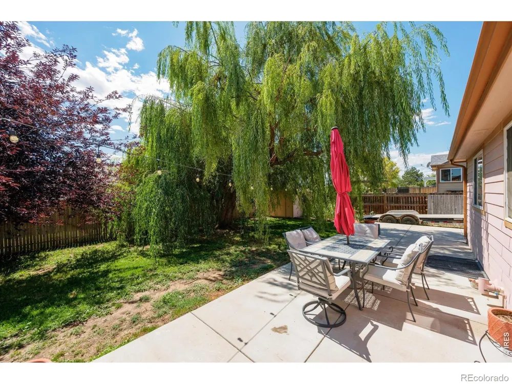 905 Scotch Pine Drive Severance, CO 80550