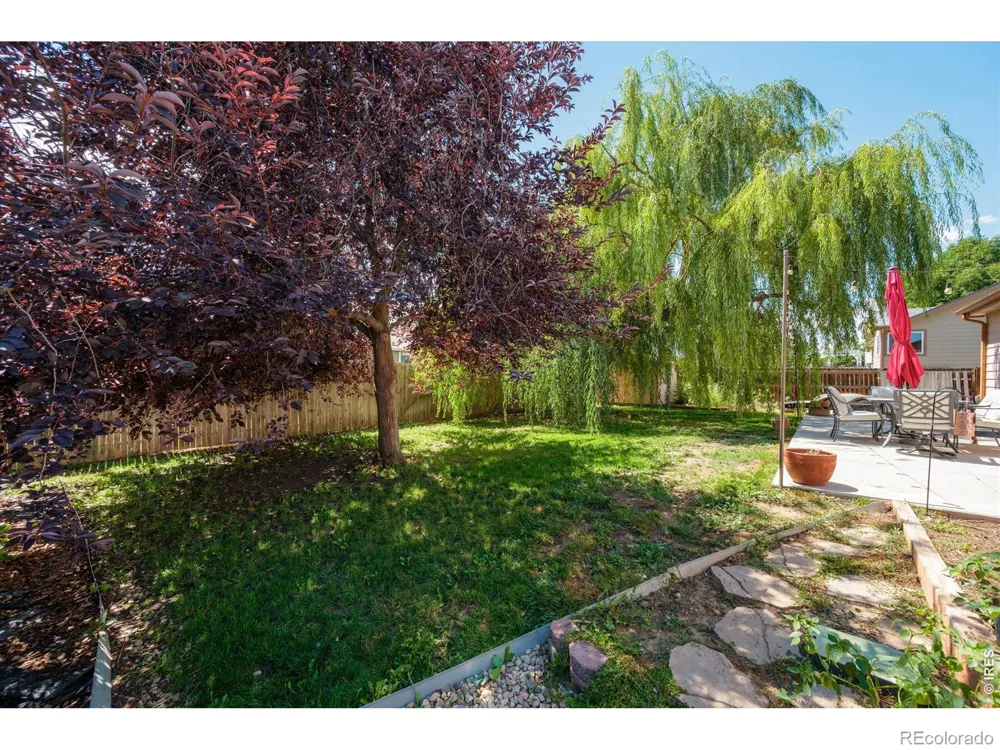 905 Scotch Pine Drive Severance, CO 80550