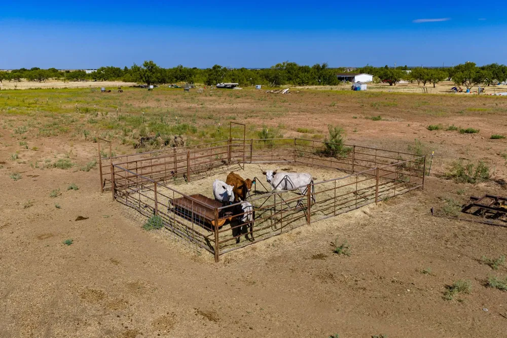 20767 CR 309 Abilene, TX 79601