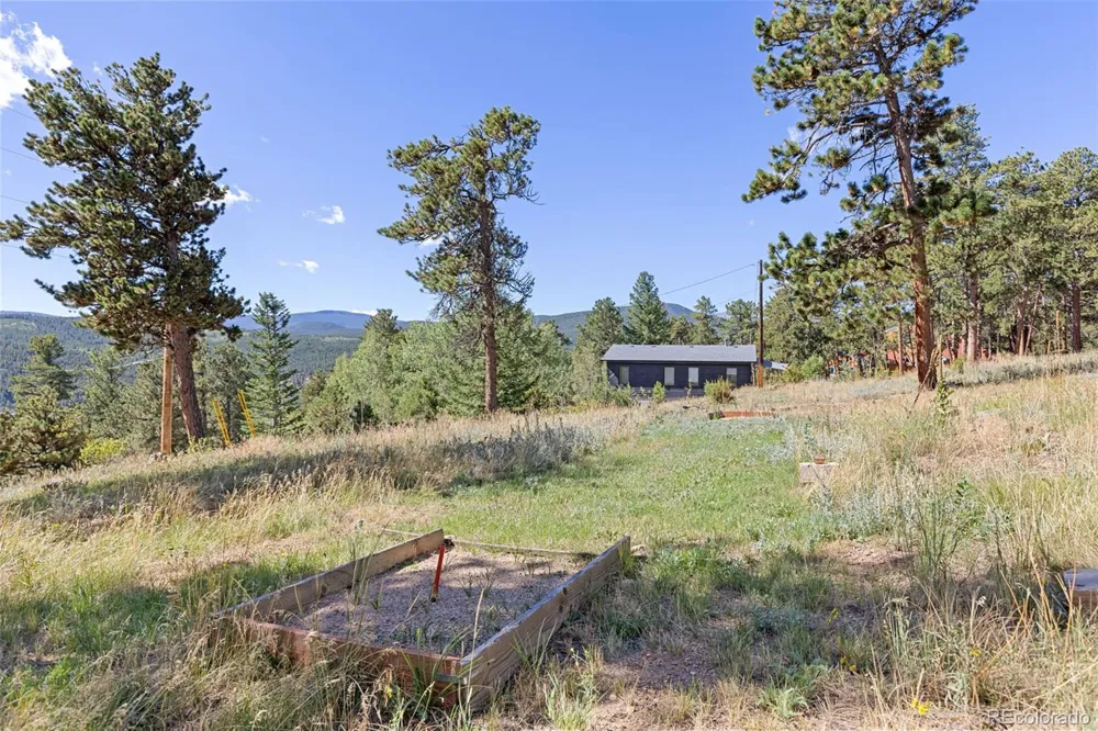 26 Tejas Lane Nederland, CO 80466