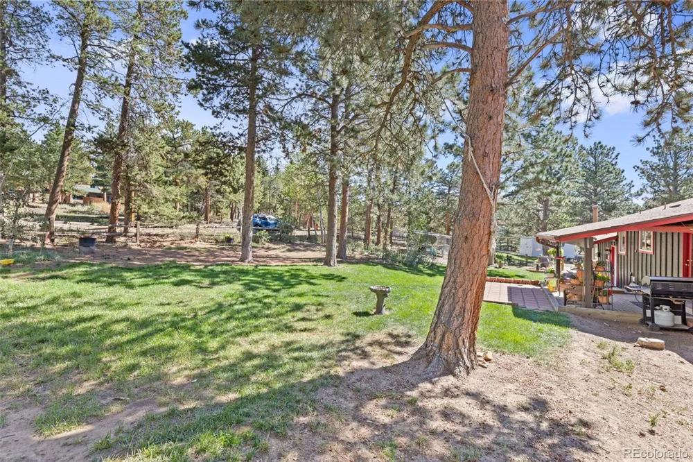 26 Tejas Lane Nederland, CO 80466
