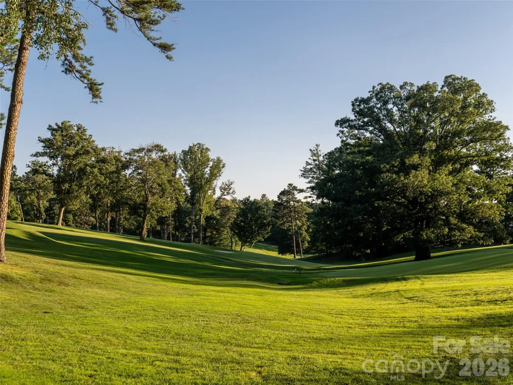 17 Amherst Road Biltmore Forest, NC 28803