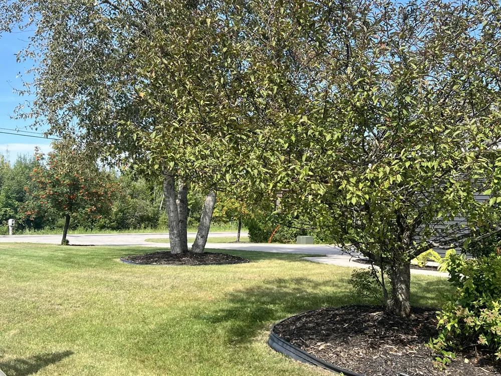 6994 Black Bass Bay Road Krakow Township, MI 49777