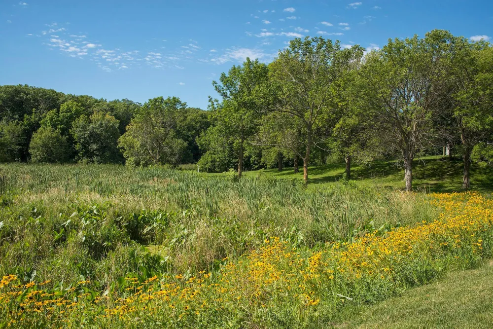 7808 Madelyn Creek Drive Victoria, MN 55386