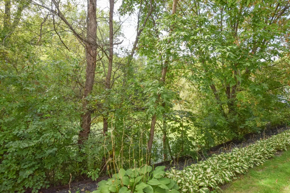 1010 18th Avenue SE Forest Lake, MN 55025