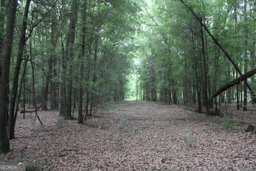0 S State Route 49 RD Oglethorpe, GA 31068