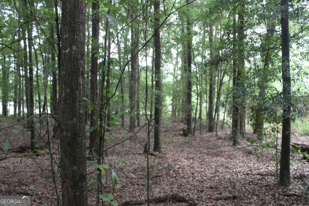 0 S State Route 49 RD Oglethorpe, GA 31068